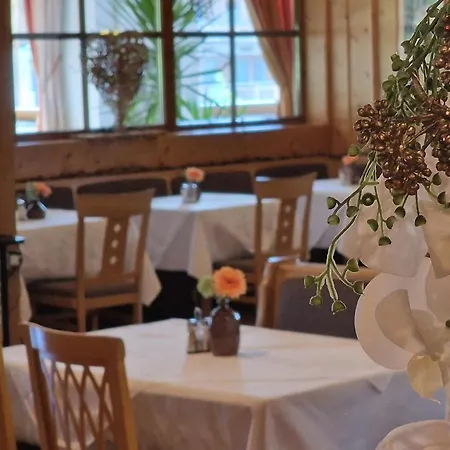 Hotel Alpin - Garni Scheffau am Wilden Kaiser