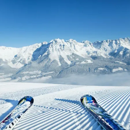 Hotel Alpin Scheffau 3*