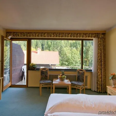 Alpin - Garni Hotel 3*