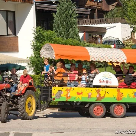 Alpin Scheffau Hotel 3*