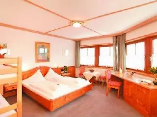 Hotel Alpin Scheffau 3*