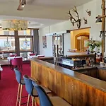 Alpin - Garni Hotell