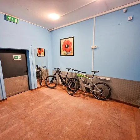 Alpin - Garni 酒店 3*