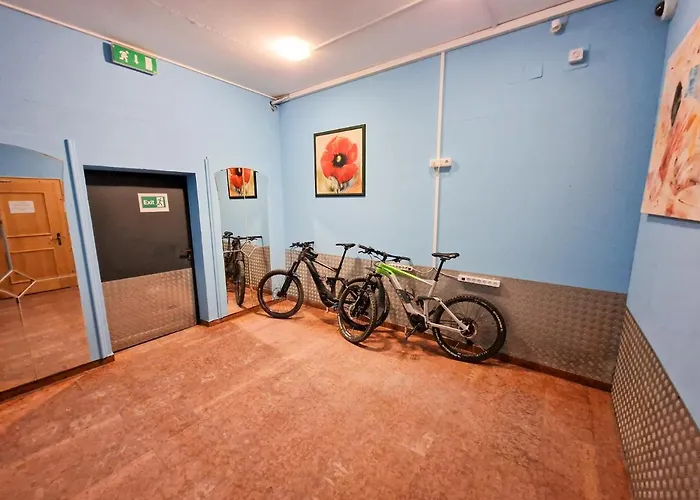 Alpin - Garni Hotel 3*